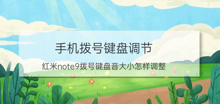 手机拨号键盘调节 红米note9拨号键盘音大小怎样调整？